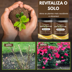 Ativador de Solo Yegbong™ - Promoção de Lançamento 🔥Estoque Limitado🔥