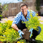 Ativador de Solo Yegbong™ - Promoção de Lançamento 🔥Estoque Limitado🔥